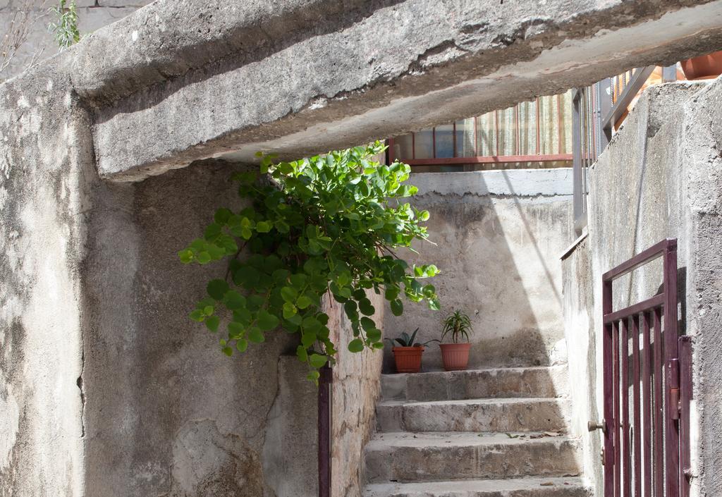 Paradise Apartment With Big Sunny Terrace In The Old Town, Few Meters From The Sea & Riva Promenade Сплит Стая снимка
