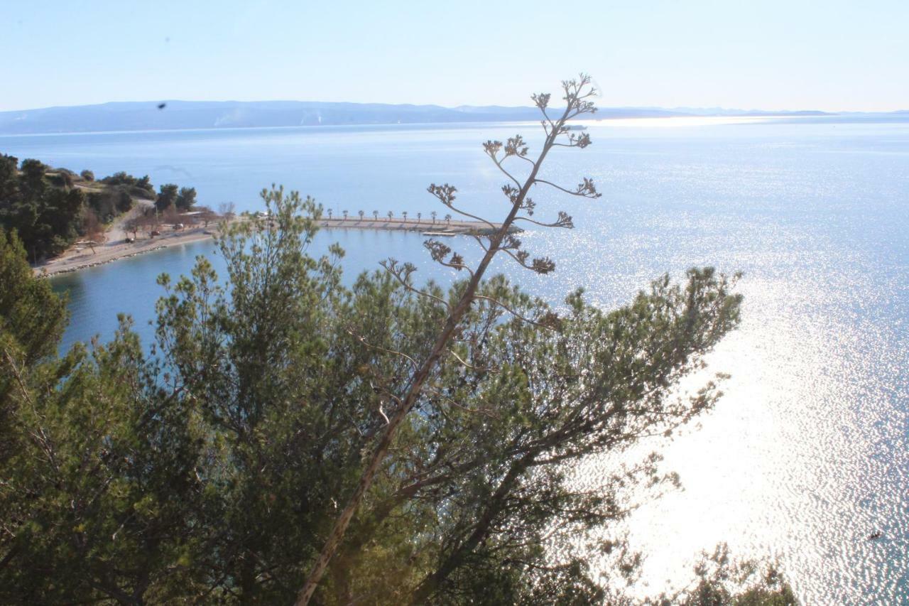 Paradise Apartment With Big Sunny Terrace In The Old Town, Few Meters From The Sea & Riva Promenade Сплит Екстериор снимка